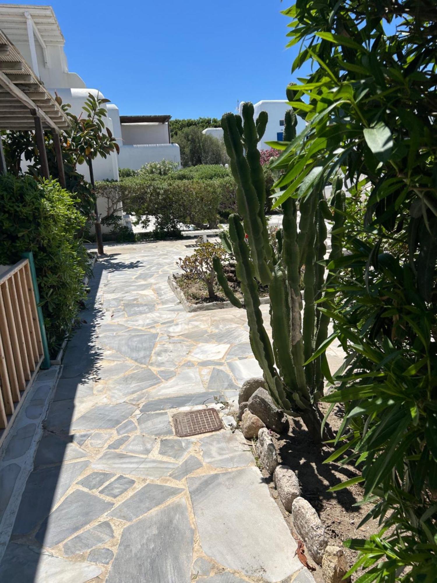 Villa Luxury House With Swimming Pool In Ornos  Esterno foto